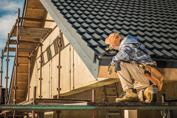Best Solar Panel Roofing Installation  in Long Branch, VA