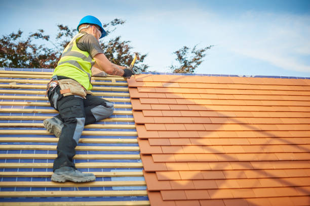 Professional Roofing services in Long Branch, VA